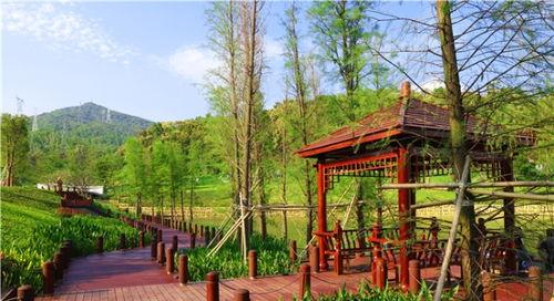 深圳龙山庄最新爆料新闻,神秘项目引发热议，揭秘背后的惊人真相